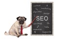 Business pug dog holding red pointer, pointing out search engine optimization, SEO performance strategy, hand drawn on chalkboard