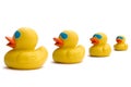 Business sayings, get our ducks in a row