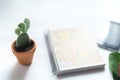 Business still life. Cactus on a white background with phone. Royalty Free Stock Photo