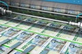 Printing 200 DK Danish krona money banknotes