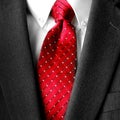 Business Suit White Shirt Red Tie Formal Wear Fashion Royalty Free Stock Photo