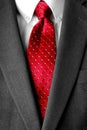 Business Suit White Shirt Red Tie Formal Wear Fashion Royalty Free Stock Photo