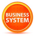 Business System Natural Orange Round Button Royalty Free Stock Photo