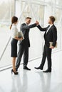 Business Team. Successful Business Partner Shaking Hands in the Royalty Free Stock Photo