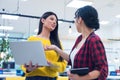 Business team working on new project and smiling. Two business women standing together in modern office for project discussion