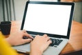 Woman hands typing laptop computer with blank screen on table in coffee shop. Royalty Free Stock Photo