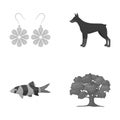 Business, trade, leisure and other web icon in monochrome style.oak, nature, ecology, icons in set collection.