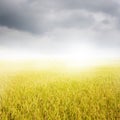 Business umbrella woman standing to riancloud in grassland with red umbrella