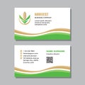 Business visit card template with logo - concept design. Nature leaves branding. Wheat agriculture sign. Corn symbol. Vector illus