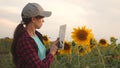 Business woman analyzes profits in field. farmer woman working with a tablet in a sunflower field in the sunset light Royalty Free Stock Photo