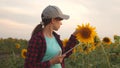 Business woman analyzes profits in field. farmer woman working with a tablet in a sunflower field in the sunset light Royalty Free Stock Photo