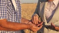 Business woman checks quality of grain in hands of farmer. close-up. business woman with tablet and farmer teamwork in Royalty Free Stock Photo