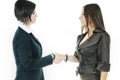 Business woman handshake Royalty Free Stock Photo