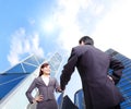 Business woman and man handshake Royalty Free Stock Photo