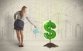 Business woman poring water on dollar tree sign on city background