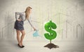 Business woman poring water on dollar tree sign on city backgrou Royalty Free Stock Photo