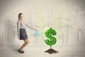 Business woman poring water on dollar tree sign on city background