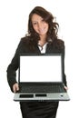 Business woman presenting laptopn