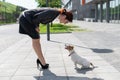 Business woman in a suit and high heels is training a puppy of Jack Russell Terrier on the street. Little dog executes a Royalty Free Stock Photo
