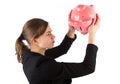 Business woman is unable to get money out of piggy bank Royalty Free Stock Photo