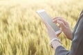 Business woman using smart phone in the field Royalty Free Stock Photo