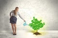 Business woman watering a growing green dollar sign tree Royalty Free Stock Photo