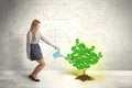 Business woman watering a growing green dollar sign tree Royalty Free Stock Photo