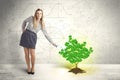 Business woman watering a growing green dollar sign tree Royalty Free Stock Photo