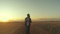 Business woman working in the field. Farmer in wheat field at sunset. Agronomist woman farmer, business woman looks into