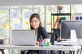 Business woman working on laptop at the office, Two young business colleagues in modern office Royalty Free Stock Photo