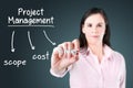 Business woman writing project management concept. Royalty Free Stock Photo