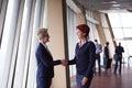 Business womans make deal and handshake Royalty Free Stock Photo