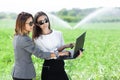 Business women with a laptop in a field with agriculture irrigation system Royalty Free Stock Photo