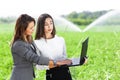 Business women with a laptop in a field with agriculture irrigation system Royalty Free Stock Photo