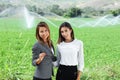 Business women with a laptop in a field with agriculture irrigation system Royalty Free Stock Photo