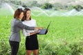 Business women with a laptop in a field with agriculture irrigation system Royalty Free Stock Photo