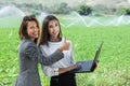 Business women with a laptop in a field with agriculture irrigation system Royalty Free Stock Photo