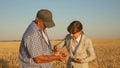 Business woman with tablet and farmer teamwork in a wheat field. farmer holds a grain of wheat in his hands. A business Royalty Free Stock Photo