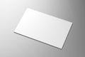 Businesscard 55x85mm mockup - 3D rendering