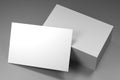 Businesscard 55x85mm mockup - 3D rendering