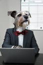 Businessdog in his office in sales conversation