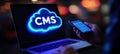Businessman Accessing Cloud-Based Content Management System CMS Software Via Mobile Device