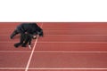 Businessman and bear are ready to race on running track Royalty Free Stock Photo