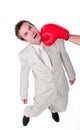 Businessman being hit with a boxing glove Royalty Free Stock Photo