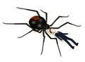Businessman with black widow spider Royalty Free Stock Photo