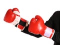 Businessman with boxing gloves isolated