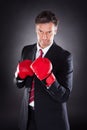 Businessman In Boxing Gloves Royalty Free Stock Photo