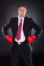 Businessman In Boxing Gloves Royalty Free Stock Photo