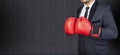 Businessman with boxing gloves and suit ready to accept all challanges in conceptual banner