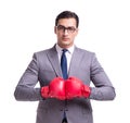 Businessman boxing isolated on the white background